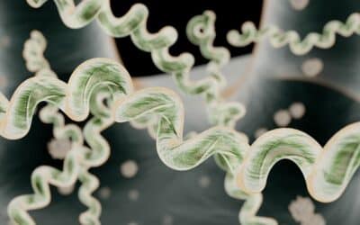 Q-REstrain (SOT Therapy): What It Is, How It Works, and Who It’s For