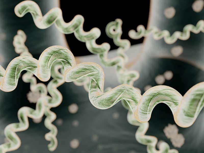Q-REstrain (SOT Therapy): What It Is, How It Works, and Who It’s For